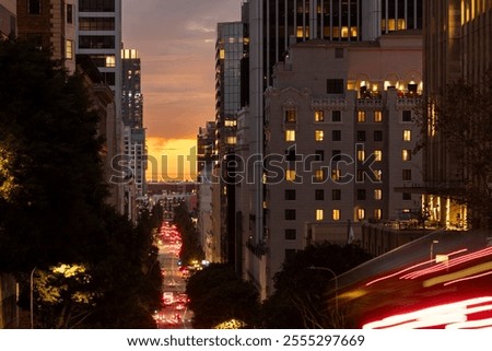 Similar – Image, Stock Photo Tree avenue in winter with snow