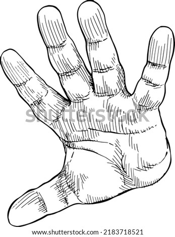 Close-up of open hand indicating alt. Hand language. Black and white vector illustration, handheld view.