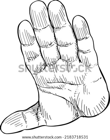 Close-up of open hand indicating alt. Hand language. Black and white vector illustration, handheld view.