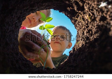 Son and mother planting plant together in pit in garden. View from hole from bottom up. Gardening and growing trees and sprouts in soil. Farmer child transplant strawberry bush in dug bed in ground