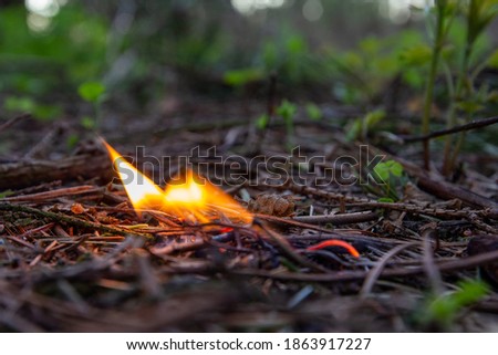 Similar – Foto Bild Gefahr eines Waldbrandes bei großer Trockenheit