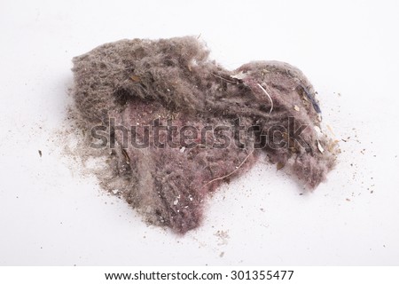 Common house dust on a floor