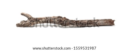 Twigs, Sticks and Branches Isolated on White  Foto stock © 