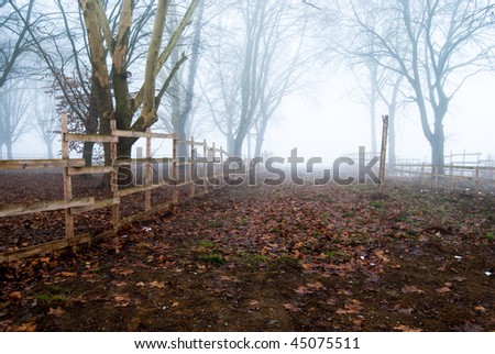 The way into the fog