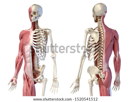 Shutterstock Puzzlepix