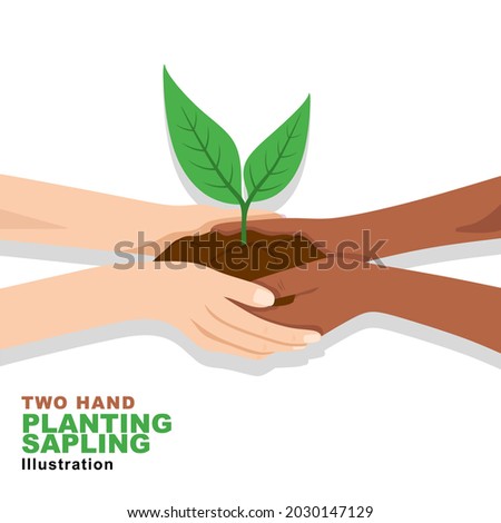 Two Hands Holding Planting Sapling