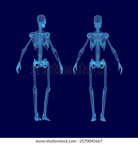 Two skeletons, one on the left and one on the right, both in blue. The skeletons are positioned in a blue background, which creates a sense of depth and contrast