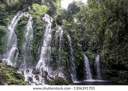 Similar – Image, Stock Photo hidden and yet discovered