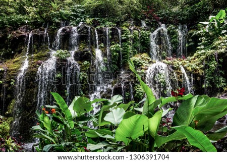Similar – Image, Stock Photo hidden and yet discovered