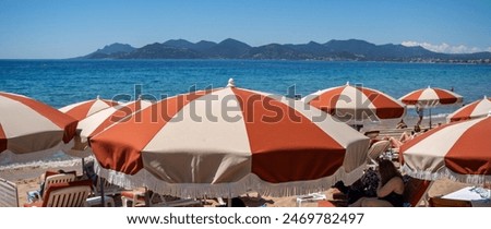 Similar – Image, Stock Photo orange parasol with blue sky