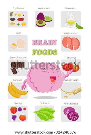 foods for brain concept infographics.vector illustration