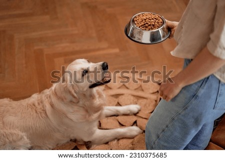 Similar – Image, Stock Photo Woman feeding dog in mountains