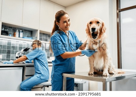 Similar – Image, Stock Photo Female veterinarian doctor is holding a cat on her hands