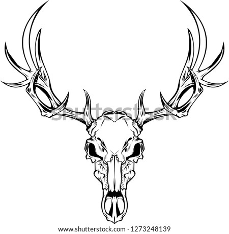 Drawings Of Deer Skulls | Free download on ClipArtMag