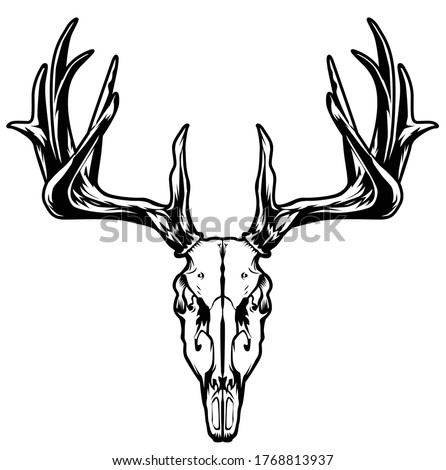 Drawings Of Deer Skulls | Free download on ClipArtMag