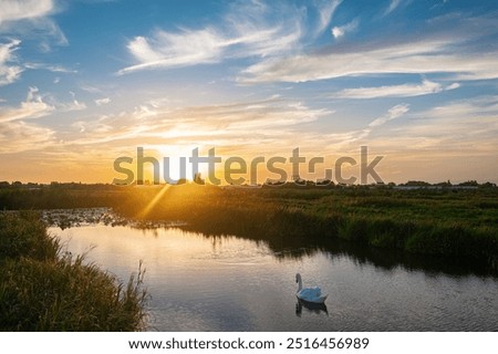 Similar – Foto Bild Schwäne bei Sonnenuntergang