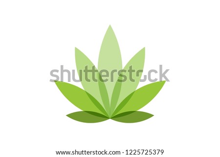cannabis leaf logo Designs Inspiration Isolated on White Background