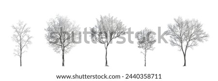 Similar – Image, Stock Photo street Tree trunk Winter