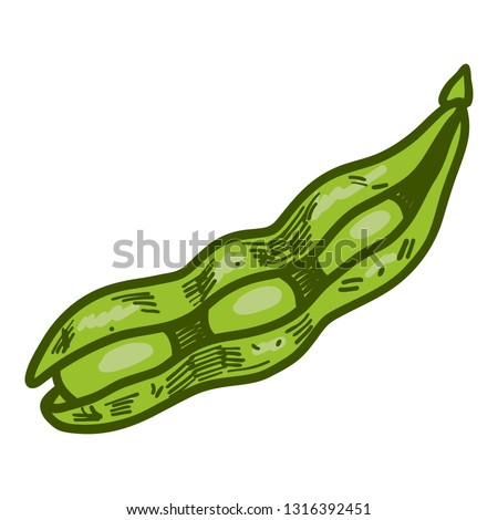 Open soybean icon. Hand drawn illustration of open soybean vector icon for web design