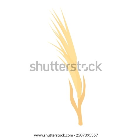 Single branch of wheat standing upwards with grains growing, a symbol of agriculture and food production