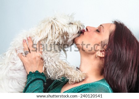 Bichon dog kissing a women showing his love.
