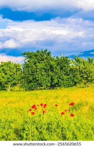 Similar – Image, Stock Photo Mountain ridge against cloudy blue sky