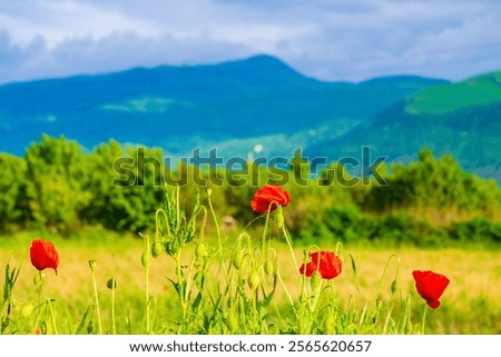 Similar – Image, Stock Photo Mountain ridge against cloudy blue sky