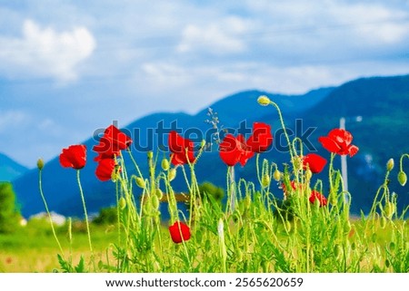 Similar – Image, Stock Photo Mountain ridge against cloudy blue sky