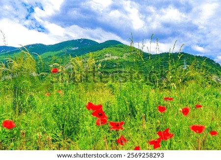 Similar – Image, Stock Photo Mountain ridge against cloudy blue sky