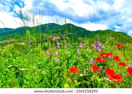 Similar – Image, Stock Photo Mountain ridge against cloudy blue sky