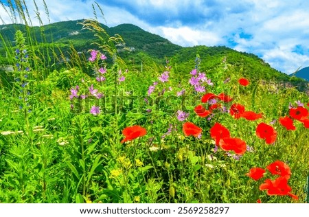 Similar – Image, Stock Photo Mountain ridge against cloudy blue sky