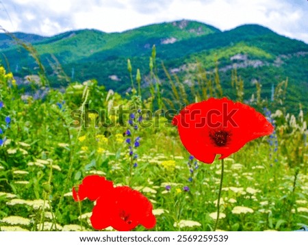 Similar – Image, Stock Photo Mountain ridge against cloudy blue sky