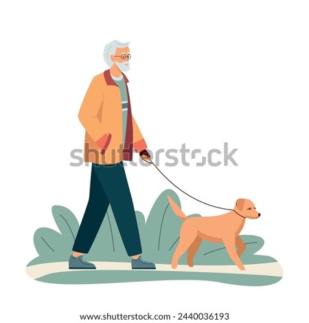 Active happy gray-haired bearded  elderly man walking his dog in the park. Healthy men lifestyle. Elder grandfather walking park. Vector illustration isolated on white