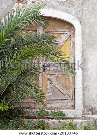 Old locked door, hidden behind a palm branches.
