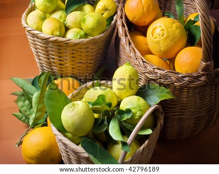 Baskets full of citrus fruits after harvest.