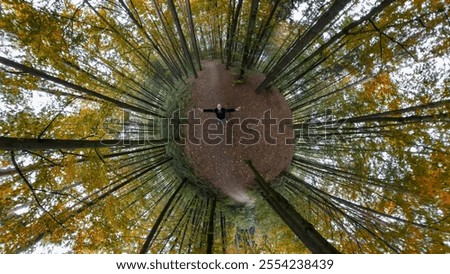 Similar – Foto Bild einsamer kahler Baum auf einer Wiese vor blauem Himmel mit Wolken