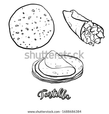 Tortilla food sketch separated on white. Vector drawing of Flatbread, usually known in Mexico. Food illustration series.