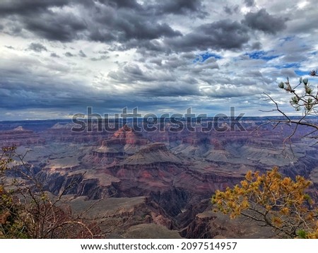 Similar – Image, Stock Photo Actually, just a red dot on the tree