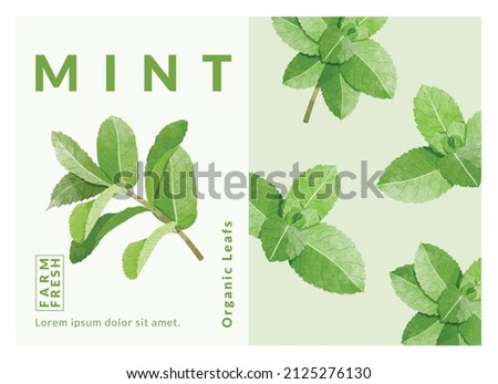 Mint Leaf packaging design templates, watercolour style vector illustration.