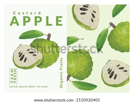 Custard Apple packaging design templates, watercolour style vector illustration.