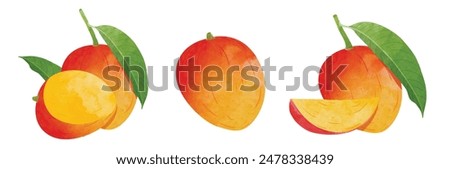 Mango Design elements. watercolour style vector illustration.