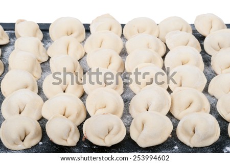 Fresh meat dumplings