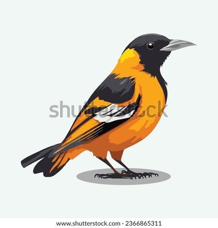 vector cute oriole cartoon style