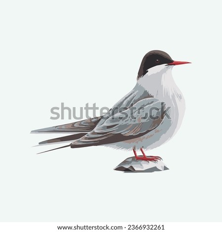 vector cute arctic tern bird cartoon style