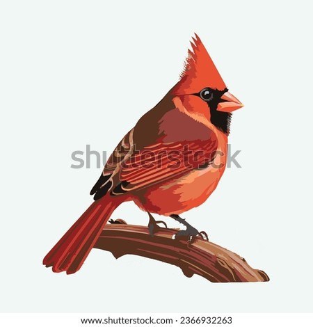 vector cute Northern cardinal bird cartoon style 