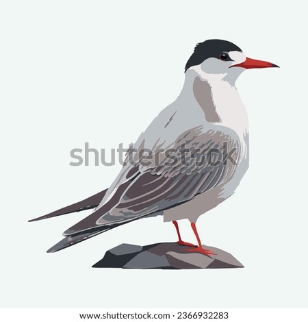 vector cute arctic tern bird cartoon style