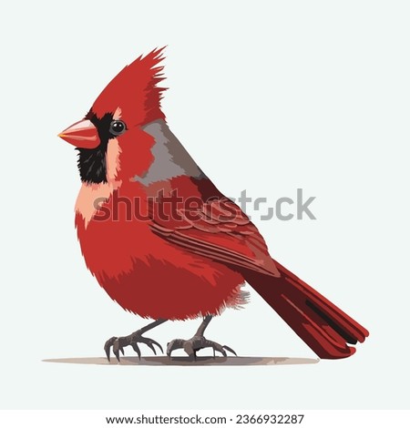 vector cute Northern cardinal bird cartoon style 
