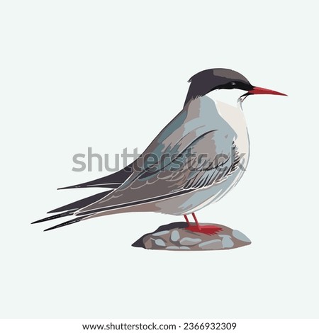 vector cute arctic tern bird cartoon style