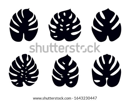 Icons with tropical palm leaves, monstera. Beautiful hand drawn exotic plants. Floral background. Monsters isolated on white background. Monstera leaves, jungle. Silhouette of monstera leaves