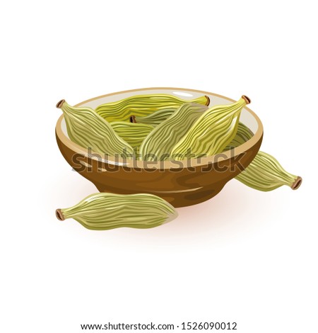 Green cardamom or cardamon pods are in ceramic bowl and near it. Spice having strong, unique taste, with an intensely aromatic, resinous fragrance. Vector cartoon illustration isolated on white.